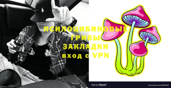 амф Надым