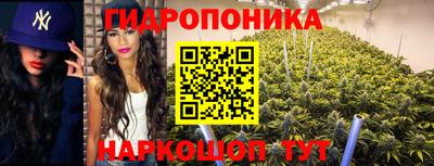 гашик Волгодонск
