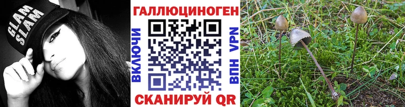 Псилоцибиновые грибы MAGIC MUSHROOMS купить Семилуки