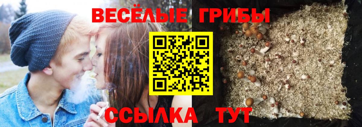 Псилоцибиновые грибы Magic Shrooms Семилуки
